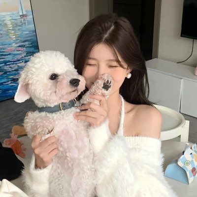 铳梦:战斗天使